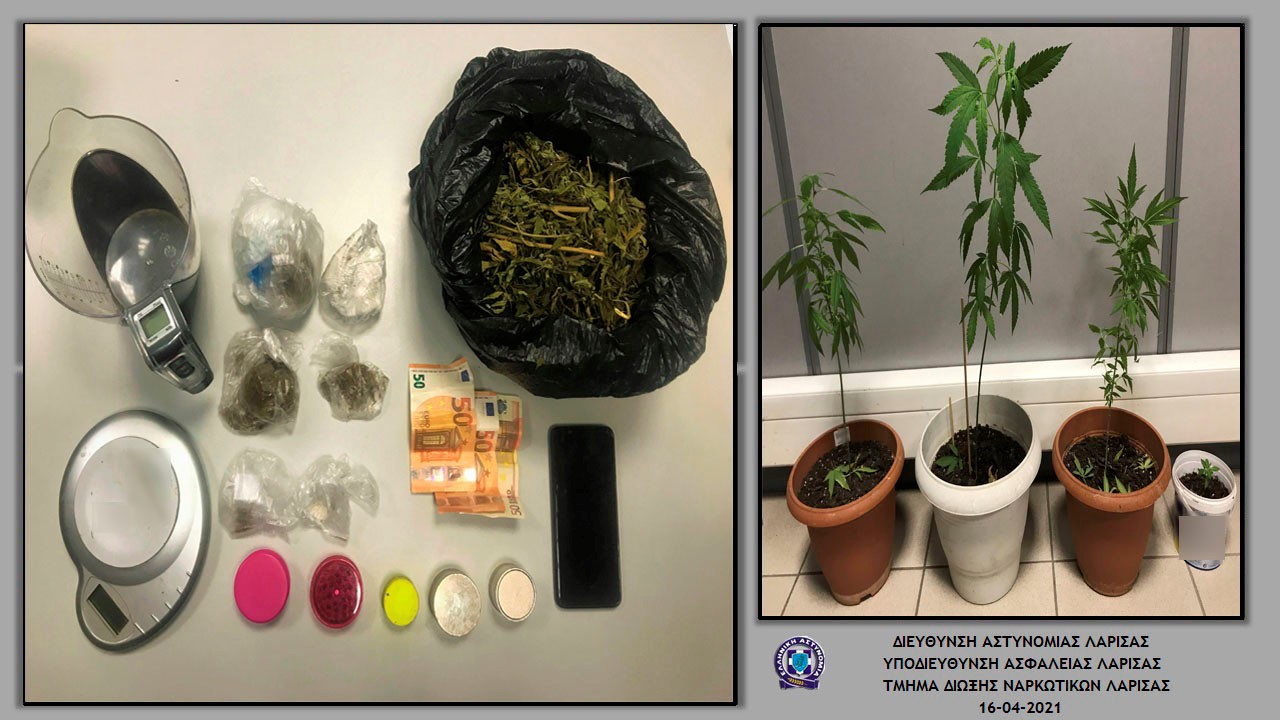 Kαλλιεργούσε δενδρύλλια κάνναβης στο σπίτι του